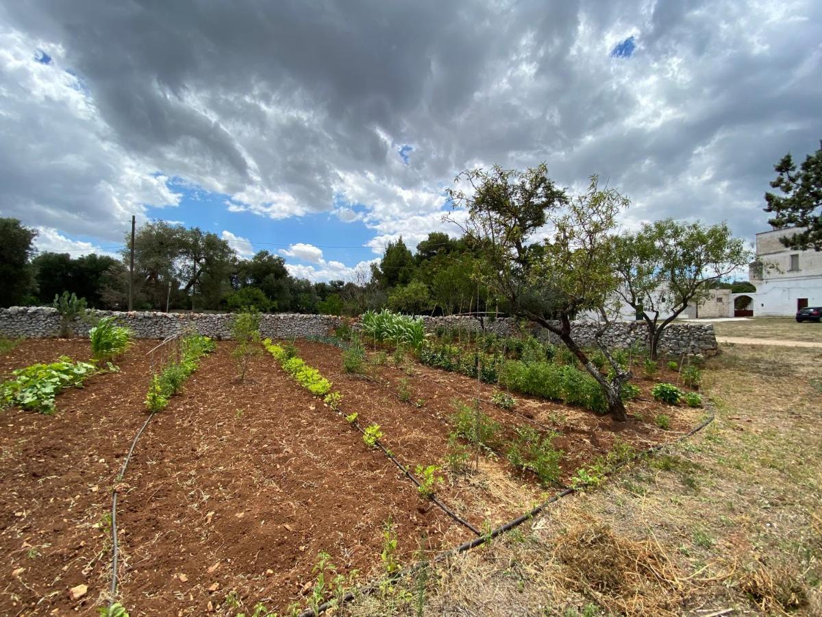 Apartmán Masseria Cervellera Ceglie Messapica Exteriér fotografie
