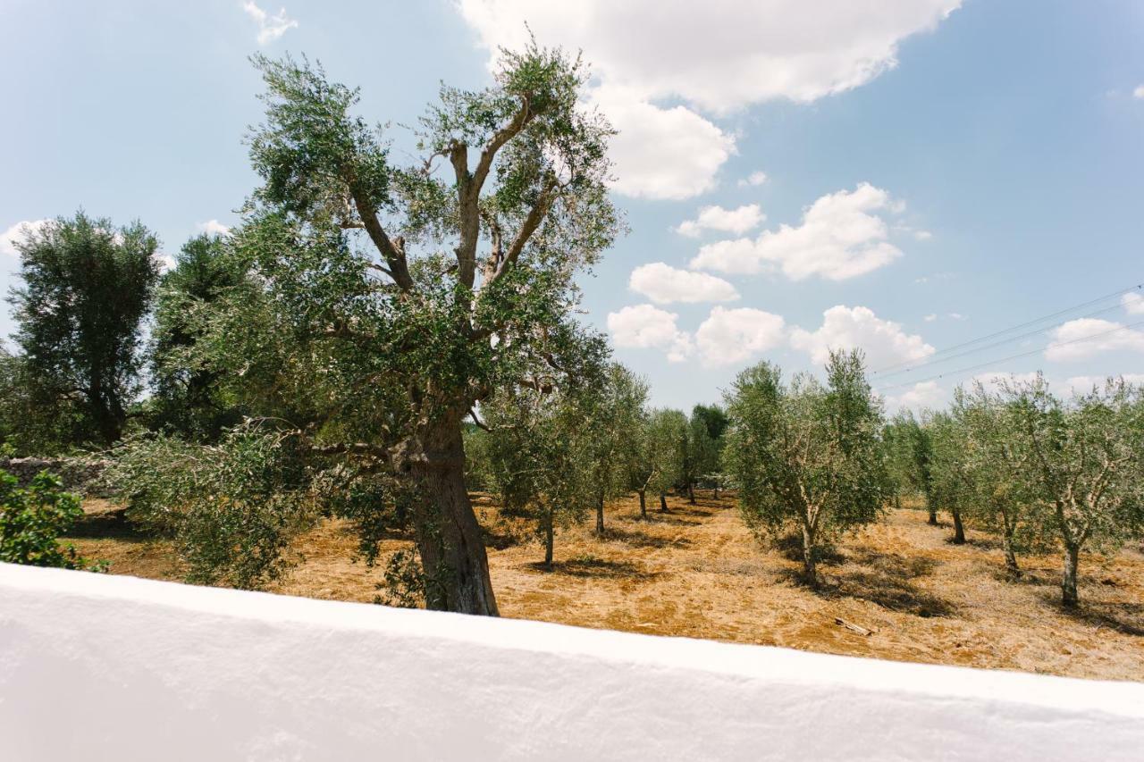 Apartmán Masseria Cervellera Ceglie Messapica Exteriér fotografie